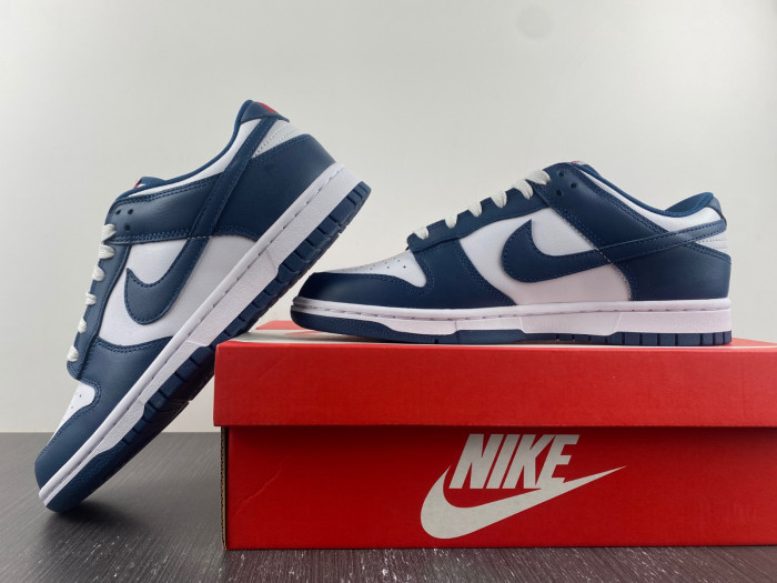 Nike Dunk Low Valerian Blue - DD1391-400