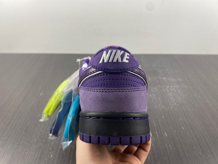 Nike SB Dunk Low Concepts Purple Lobster BV1310-555