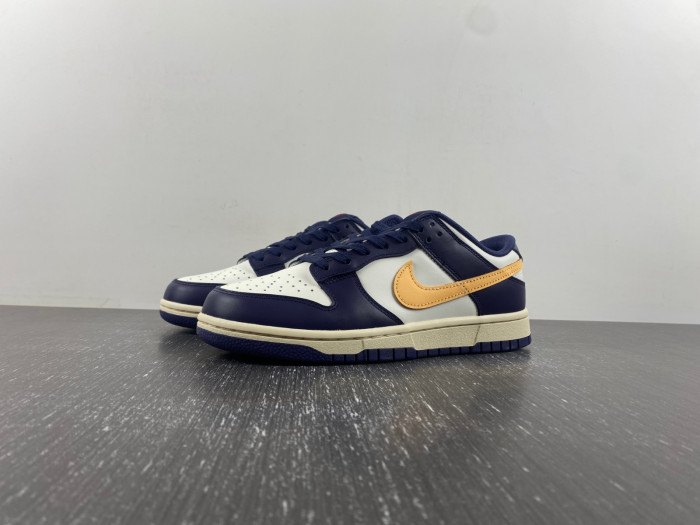 Nike Dunk Low Retro FV8106-181