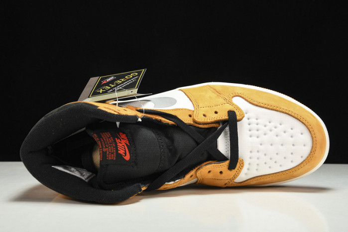 Air Jordan 1 Element Gore-Tex Light Curry DB2889-700