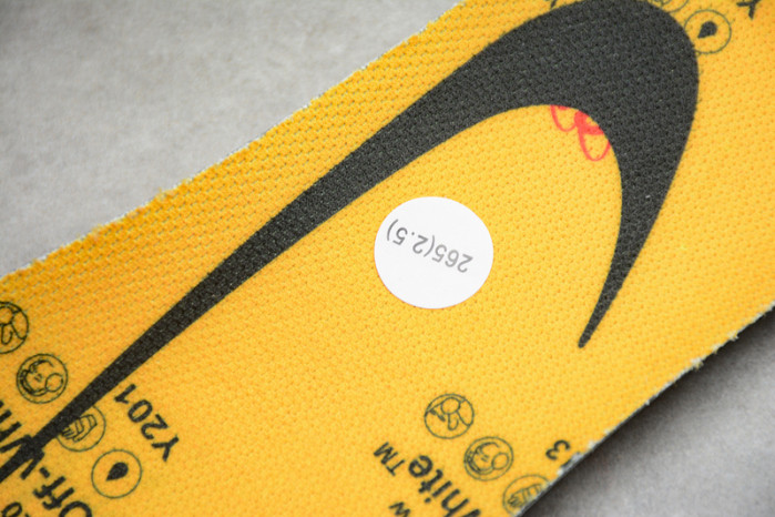 FUTURA X NIKE DUNK CT0856-800