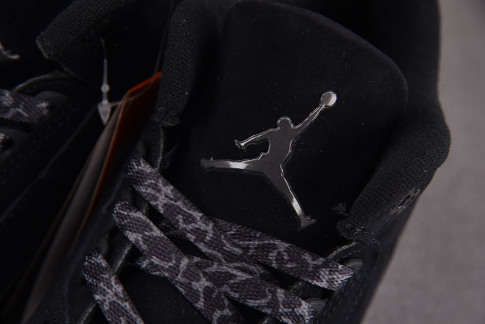 Air Jordan 3 "Black Cat" 2025 CT8532-001