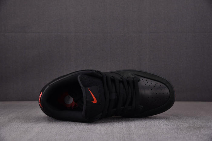 Nike Dunk Low SB Black Pigeon 883232-008