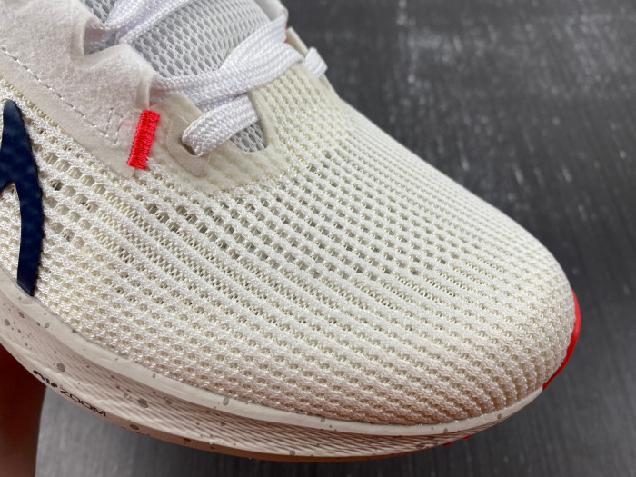 Air Zoom Pegasus 40 Wide 