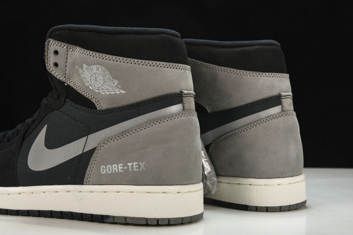 Air Jordan 1 GORE-TEX DB2889-001