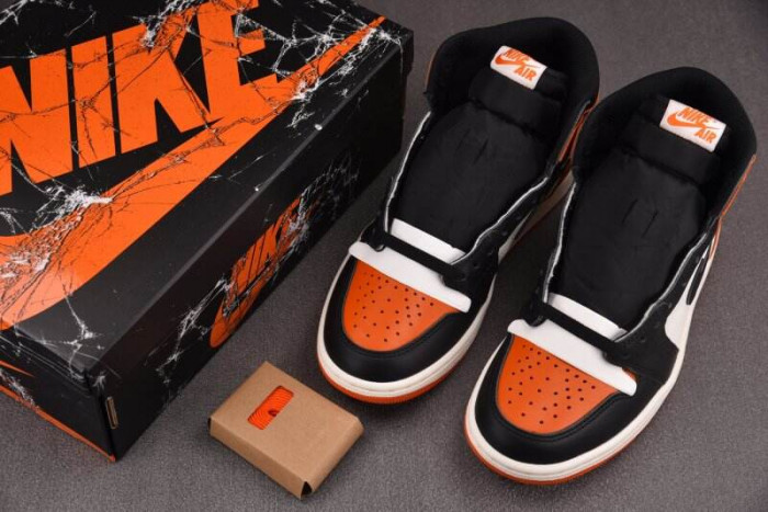 Air Jordan 1 Shattered Backboard DZ5485-008