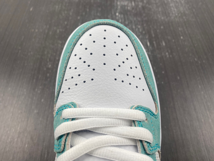 Nike Dunk Low FD2562-400