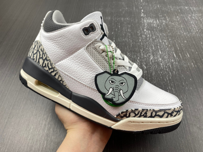 AIR JORDAN 3 GS HIDE N