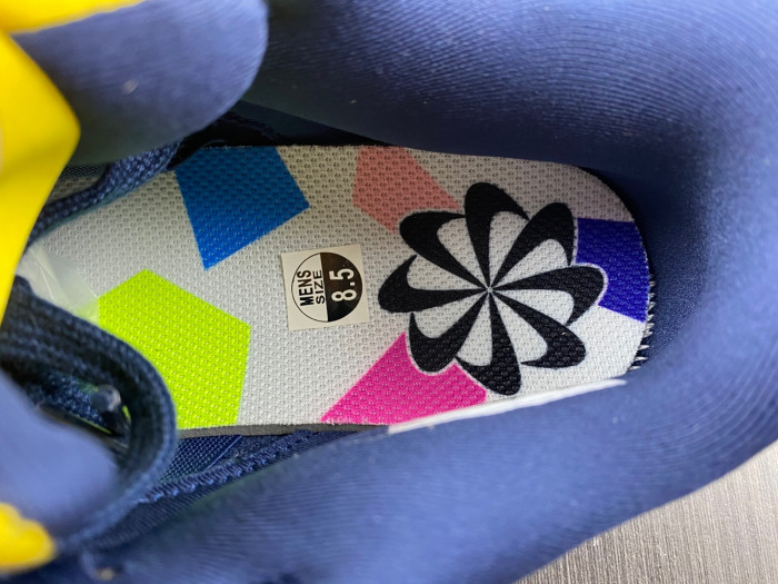 Nike Dunk Low Disrupt 2 "Michigan" DV4024-400