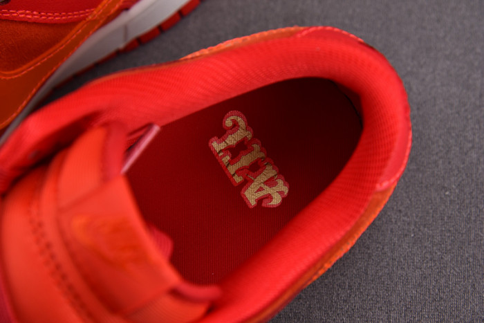 Nike Dunk Low ATL FD0724-657